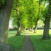 Pages Park